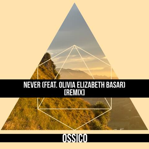 Never (feat. Olivia Elizabeth Basar) [Remix]