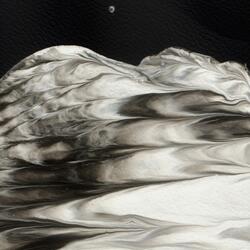 Moonlight