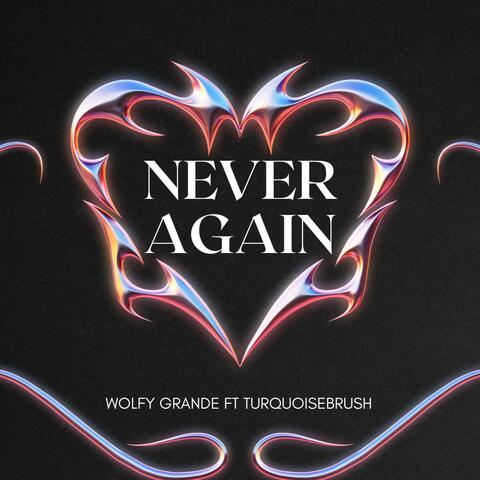 Never Again (feat. TurquoiseBrush)