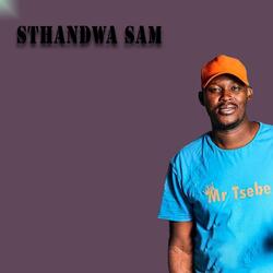 STHANDWA SAMI (feat. SOGO DRUM)