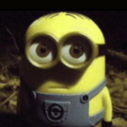 Staring Minion
