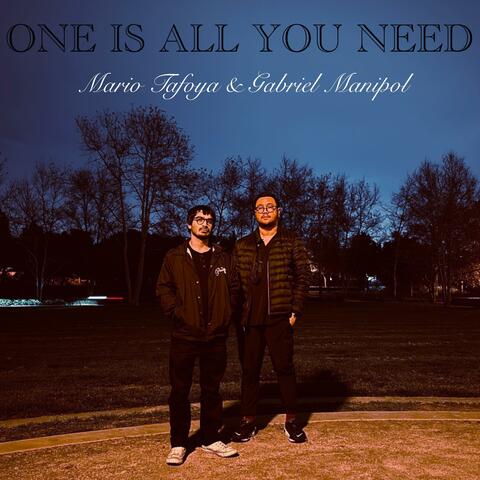 One Is All You Need