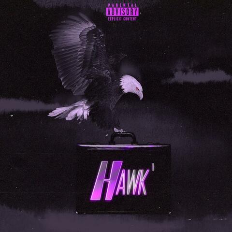 HAWK¹