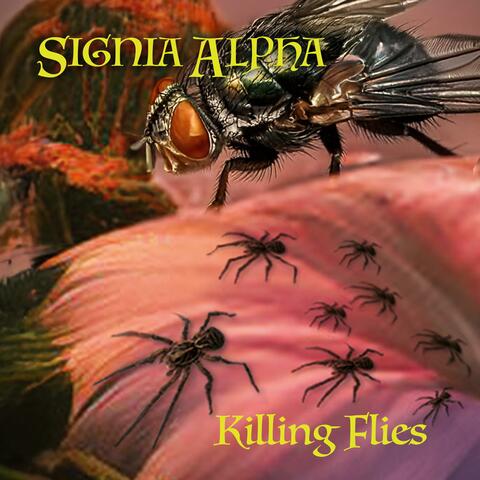Killing Flies (Radio Edit)