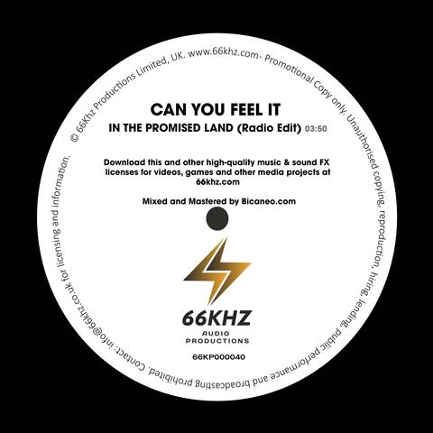 CAN YOU FEEL IT IN THE PROMISED LAND (Radio Edit)