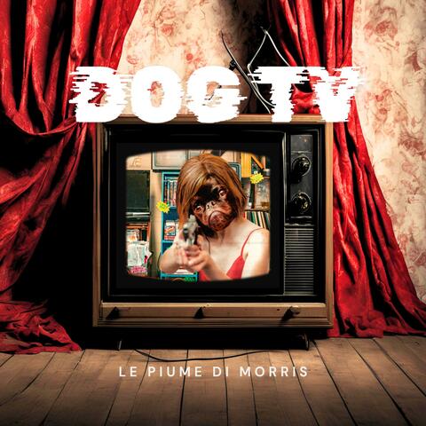 Dog TV