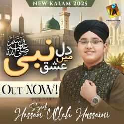 Dil Mein Ishq E Nabi Ki Ho Aisi Lagan