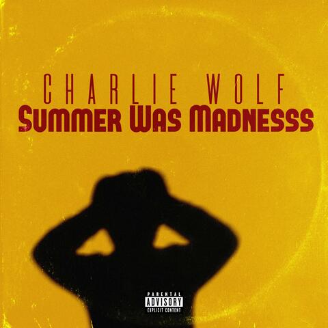 Summer Was Madnesss