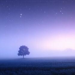 The Veil Between Worlds