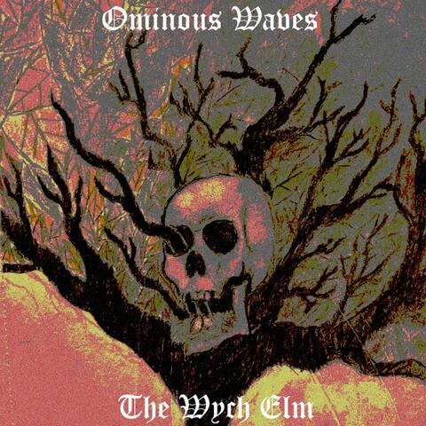 The Wych Elm