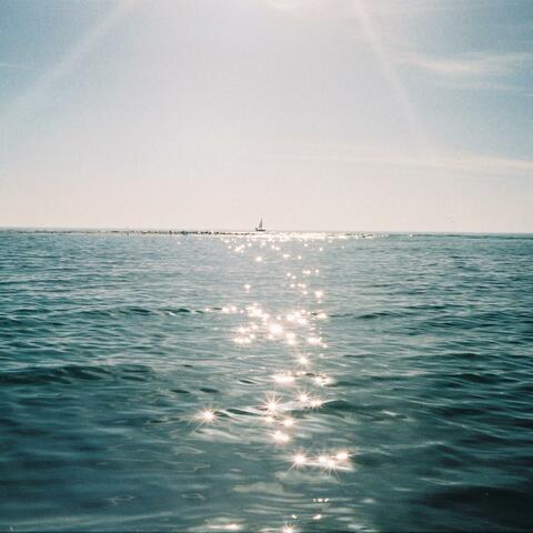 No Complaints