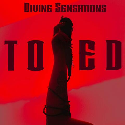 Divine Sensations