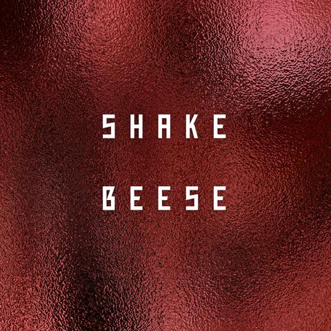 SHAKE