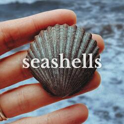 Seashells