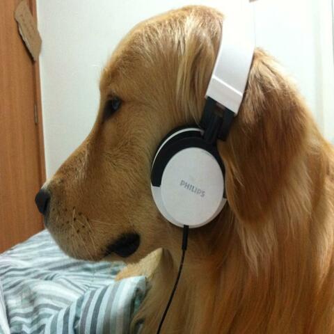 te juro que soy normal