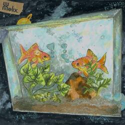Fish Tanks as Galaxies