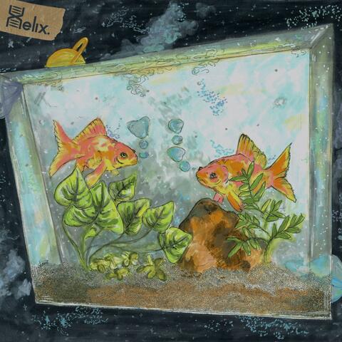 Fish Tanks as Galaxies