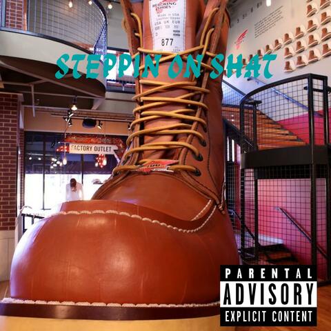 Steppin On Shat
