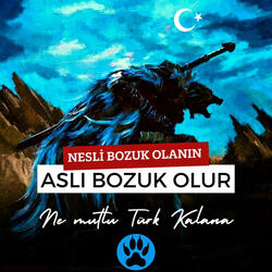 Oğuz Oğulları - Enstrumental