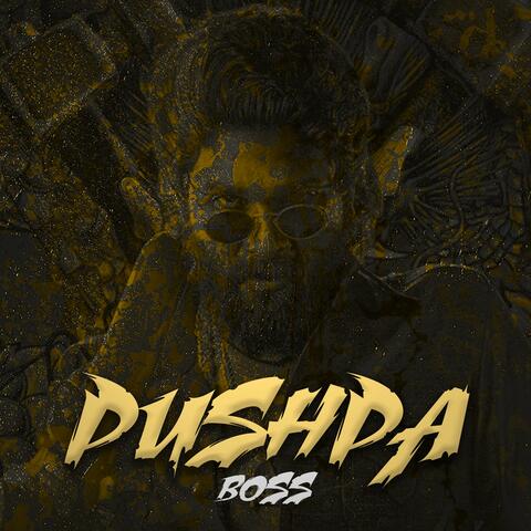 Pushpa Boss (Jhukega Nahi Slowed+Reverb)