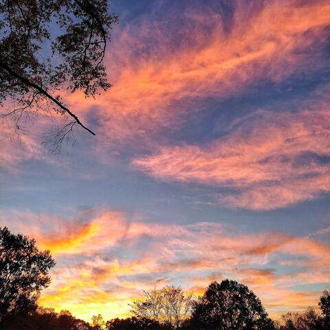 thisandthat // catharsis