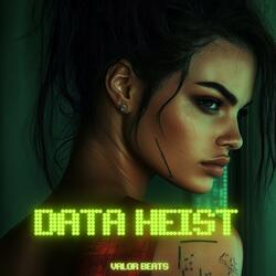 Data Heist