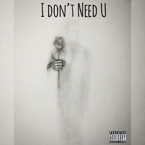 I Dont Need You