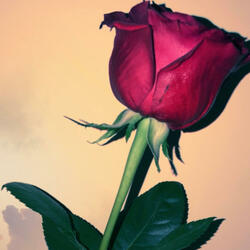 With The Flow (feat. Type K)