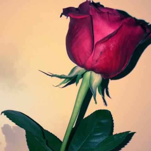 With The Flow (feat. Type K)