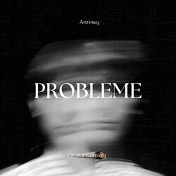 Probleme