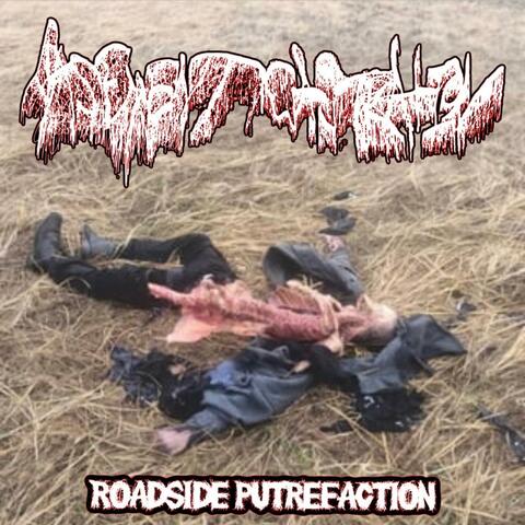 Roadside Putrefaction