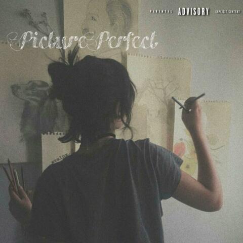Picture Perfect
