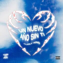 Un Año Nuevo Sin Ti