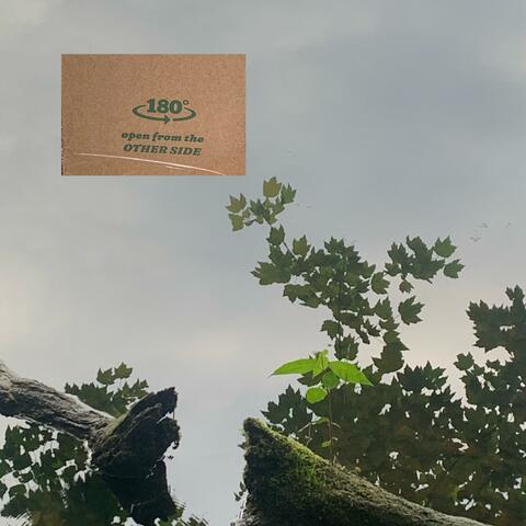 my second try at devotion