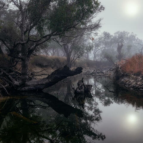 Trapped in Resettlement Mind