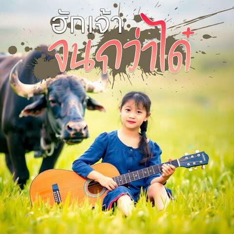 ฮักเจ้าจนกว่าได๋