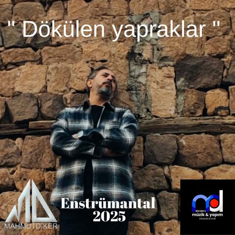 Dökülen yapraklar new 2025