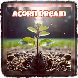 Acorn Dream
