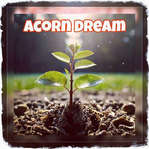 Acorn Dream