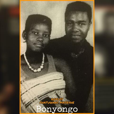 Bonyongo