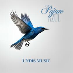 Pájaro Azul