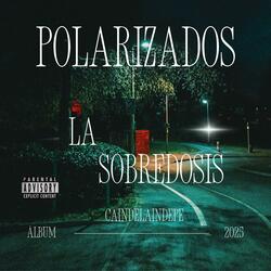 POLARIZADOS
