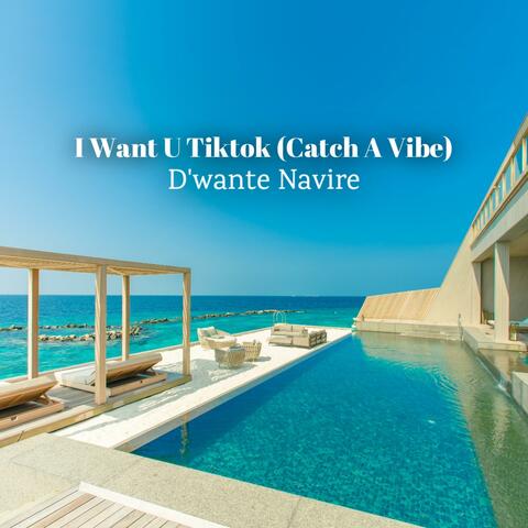 I Want U Tiktok (Catch A Vibe)