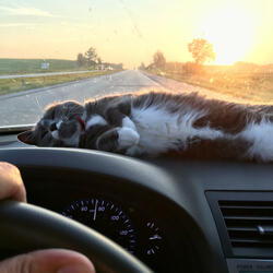 It's good for you and good for me