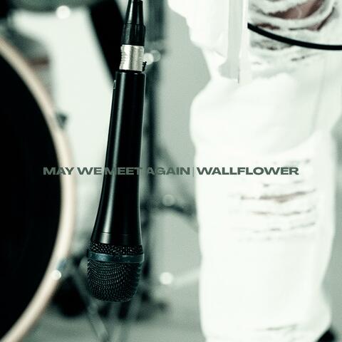 Wallflower