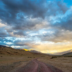 I Fight (Remastered )