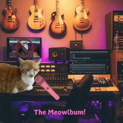 Meow Too Well (From the Litterbox)