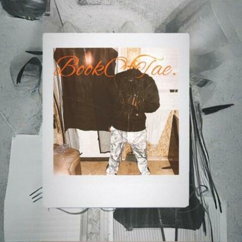 BookOfTae.