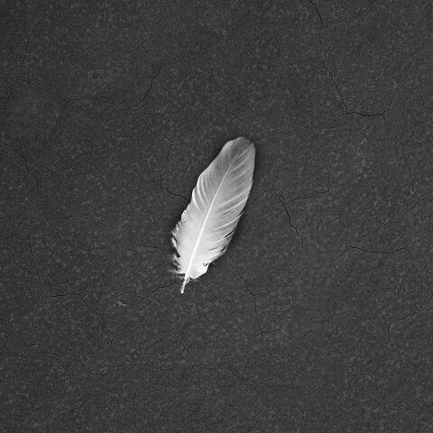 Broken Wings