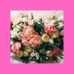 Krysia (Piosenka na imieniny Krysi)